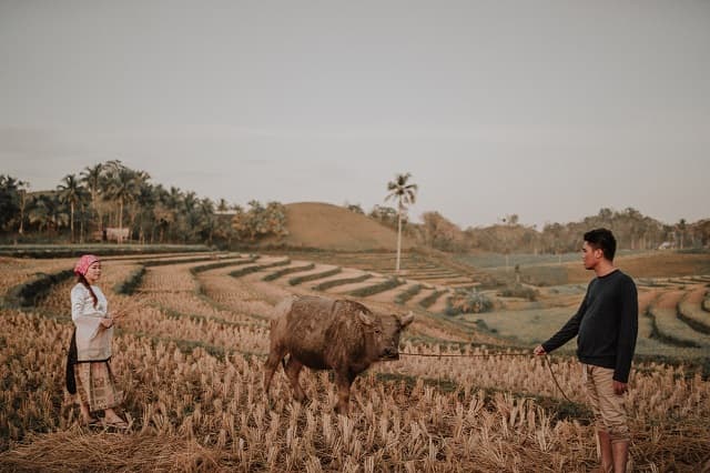 Filipino prenup couple celebrating
